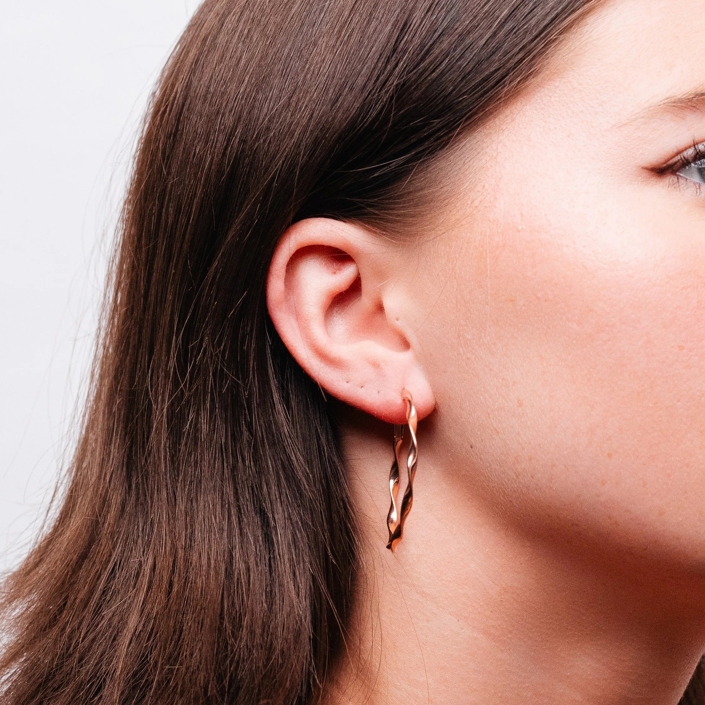 Alizia Twisted Rope Hooped Earrings