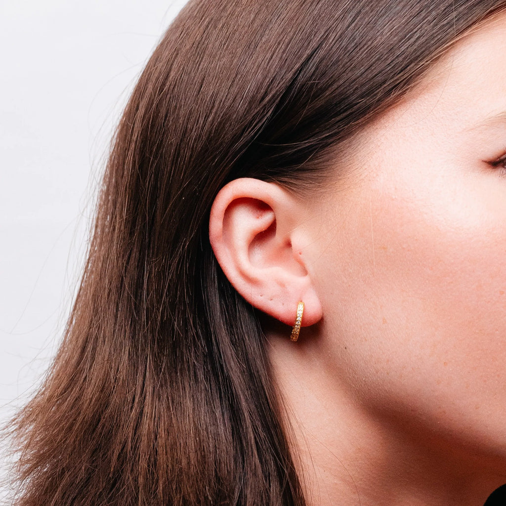 Alizia Encrsuted Huggie Hooped Earrings