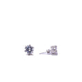 Alizia 6 Claw Daily Stud Stud Earrings
