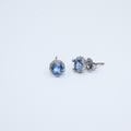 Alizia Mini Halo Stud Earrings