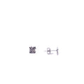 Alizia Matte Clove Stud Earrings
