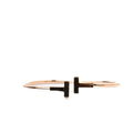 Alizia Double T Bangle