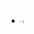 Alizia Clove Stud Earrings