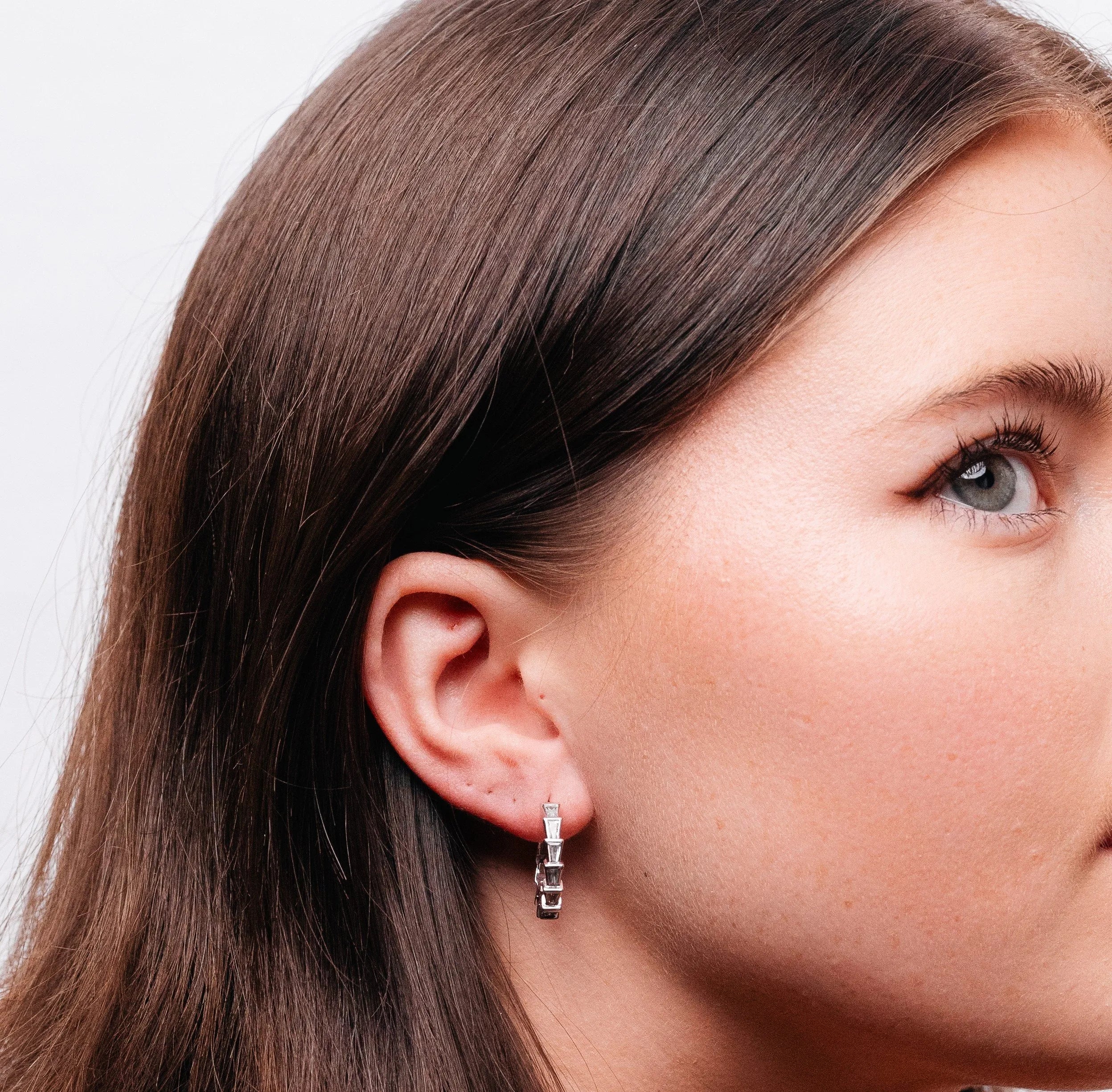 Alizia Single Serpent Hooped Earrings