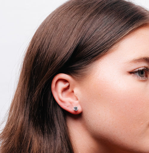 Alizia 6 Claw Stud Stud Earrings