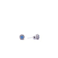 Alizia Halo Full Stud Earrings