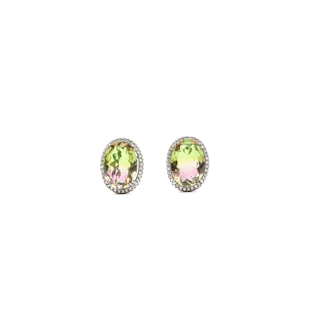 Alizia Changing Stone Stud Earrings