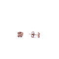 Alizia Clove Stud Earrings