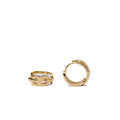 Alizia B Hoop Medium Hooped Earring