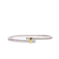 Alizia Double Band Bangle