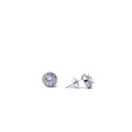 Alizia Halo Stud Stud Earrings