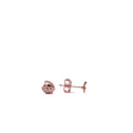 Alizia Lady Bug and Clove Stud Stud Earrings