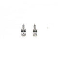 Alizia Crystal Drop Drop Earrings