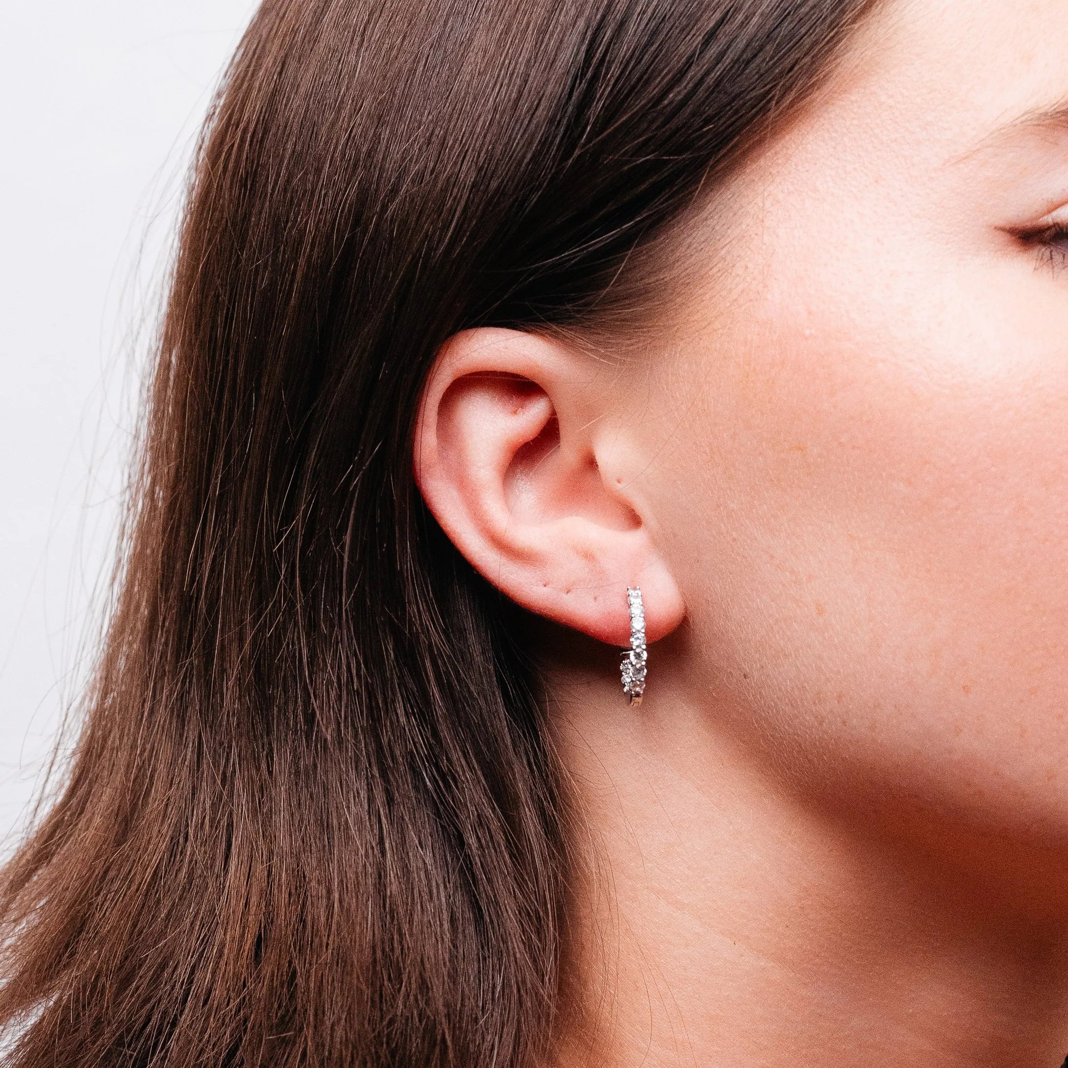 Alizia Circle Embellished Hooped Earrings