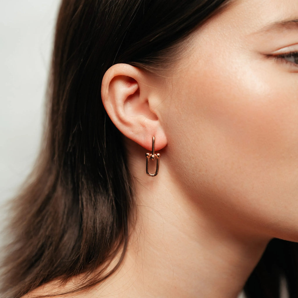 Alizia Double Link Drop Earrings