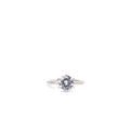 Alizia Diamond High Ring