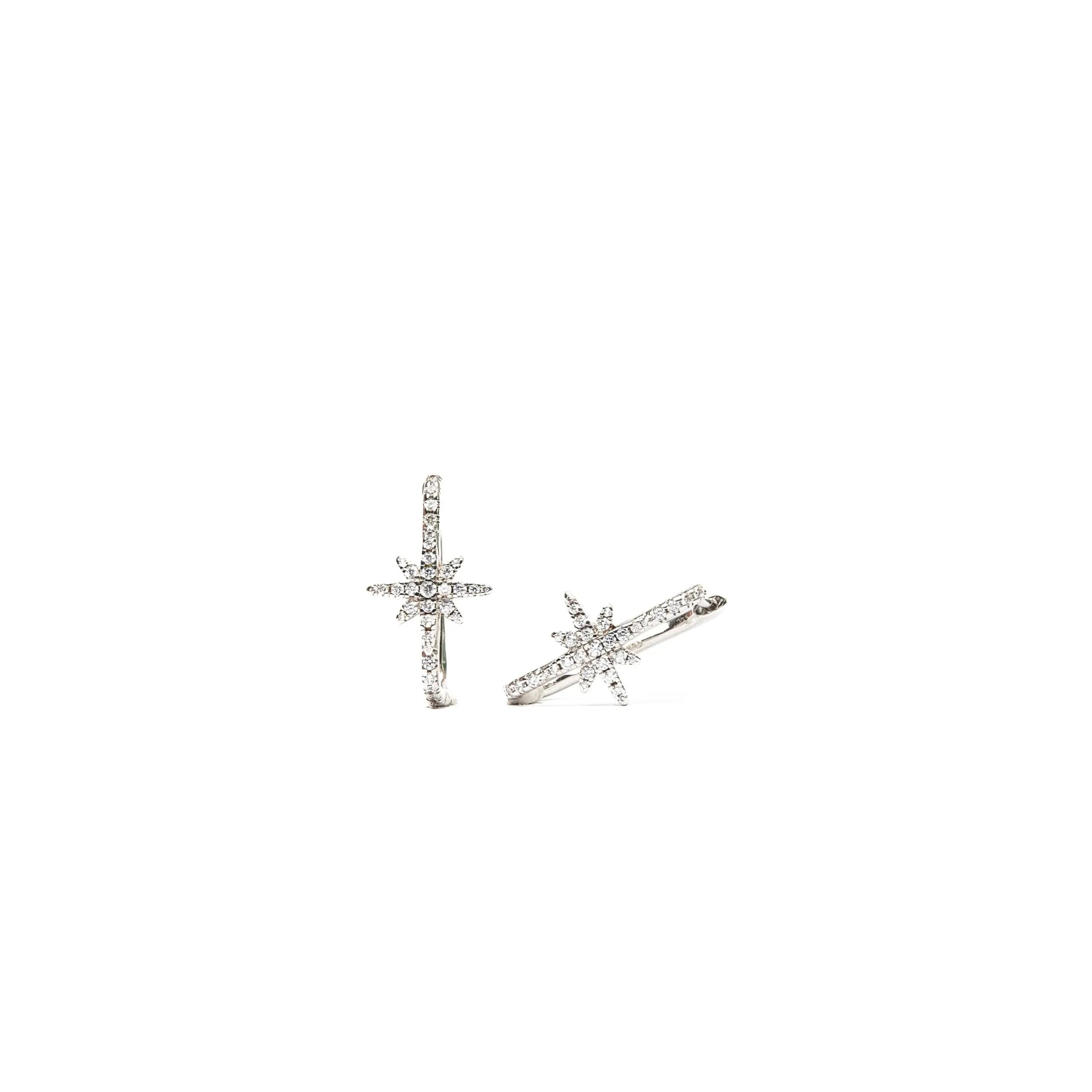 Alizia A Falling Star Hooped Earrings