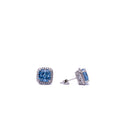 Alizia Crystal Stone Stud Earrings